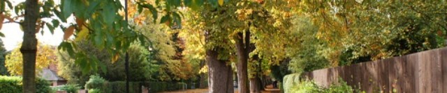 cropped-autumn-in-the-park-02.jpg
